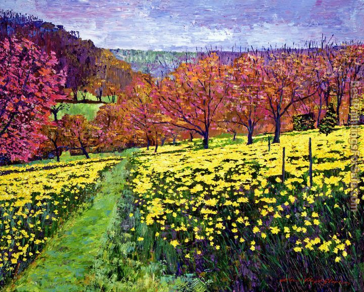 David Lloyd Glover Fields of Golden Daffodils
